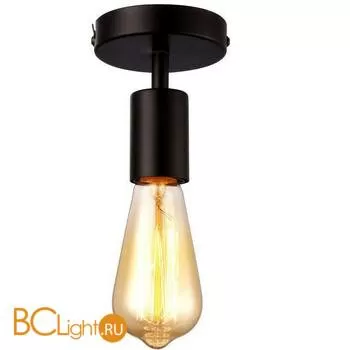 Потолочный светильник Arte Lamp Fuori A9184PL-1BK