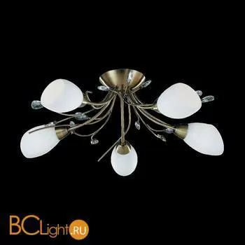 Потолочная люстра Arte Lamp Gardenia A2766PL-5AB