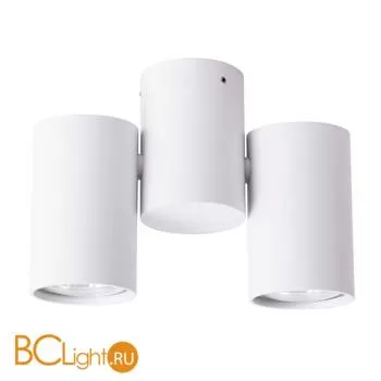 Потолочный светильник Arte Lamp Gavroche A1511PL-2WH