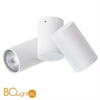 Потолочный светильник Arte Lamp Gavroche A1511PL-2WH - Фото 1