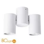 Потолочный светильник Arte Lamp Gavroche A1511PL-2WH