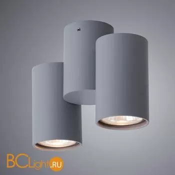 Накладной потолочный точечный светильник (спот) Arte Lamp Gavroche A1511PL-2GY - Фото 1
