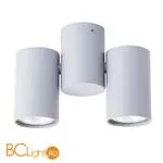 Накладной потолочный точечный светильник (спот) Arte Lamp Gavroche A1511PL-2GY