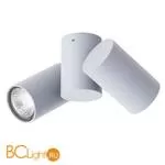 Накладной потолочный точечный светильник (спот) Arte Lamp Gavroche A1511PL-2GY - Фото 0
