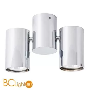 Потолочный светильник Arte Lamp Gavroche A1511PL-2CC