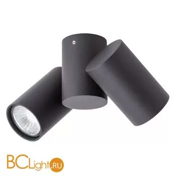 Накладной точечный светильник Arte Lamp Gavroche A1511PL-2BK - Фото 0