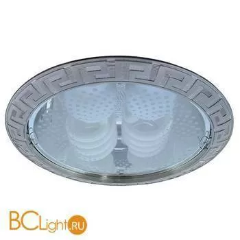 Потолочный светильник Arte Lamp GENERAL A8015PL-2SS