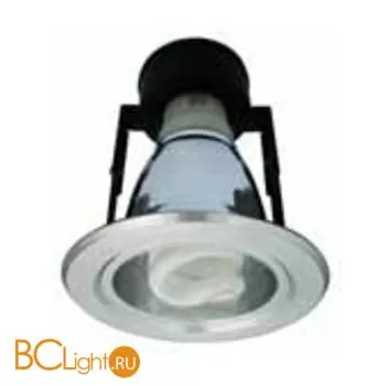 Потолочный светильник Arte Lamp GENERAL A8043PL-1SI