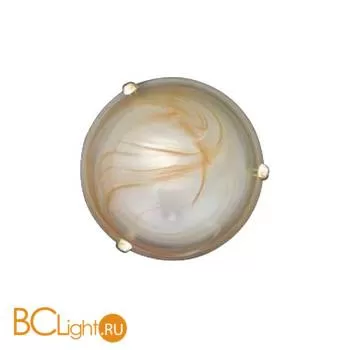 Настенный светильник Arte Lamp GERMANIKA A3930AP-1GO