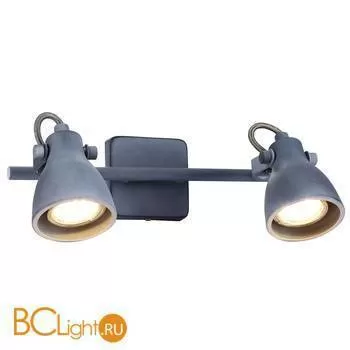 Бра Arte Lamp Gotto A9189AP-2GY