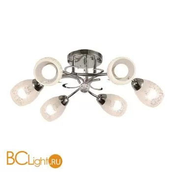 Потолочная люстра Arte Lamp Grace A2004PL-6CC