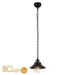 Подвесной светильник Arte Lamp Grazioso A4577SP-1CK - Фото 0