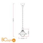 Подвесной светильник Arte Lamp Grazioso A4577SP-1WG - Схема