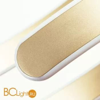 Подвесной светильник Arte Lamp Helios A4050SP-2SG - Фото 2