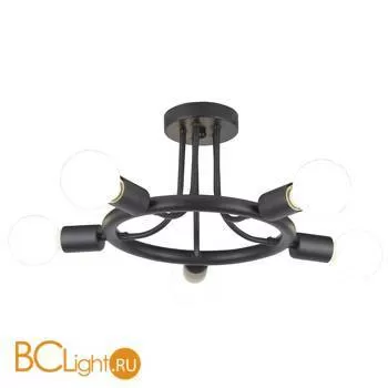 Потолочная люстра Arte Lamp Highgarden A6063PL-5BK