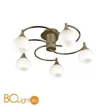 Потолочная люстра Arte Lamp HOTEL A8180PL-5AB