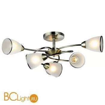 Потолочная люстра Arte Lamp Innocente A6059PL-6AB