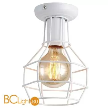 Потолочный светильник Arte Lamp Interno A9182PL-1WH