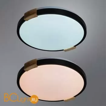 Потолочный светильник Arte Lamp Jersey A2683PL-72BK - Фото 1