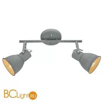 Потолочный светильник Arte Lamp Jovi A1677PL-2GY