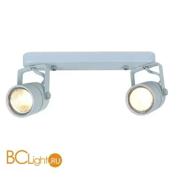 Спот (точечный светильник) Arte Lamp Lente A1310PL-2WH