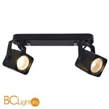 Спот (точечный светильник) Arte Lamp Lente A1314PL-2BK