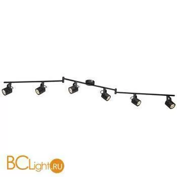 Потолочный светильник Arte Lamp Lente A1310PL-6BK