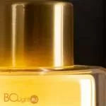 Настенный светильник Arte Lamp Leo A7027AP-1BK - Фото 1