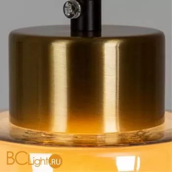 Подвесной светильник Arte Lamp Leo A7027SP-1BK - Фото 1