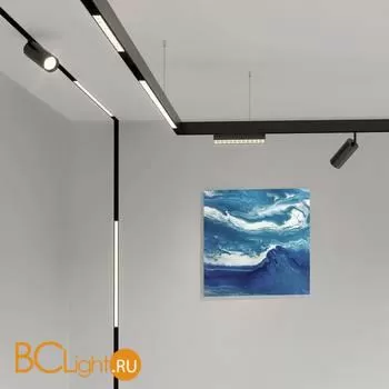 Трековый светильник Arte Lamp Linea A4641PL-1BK - Фото 2