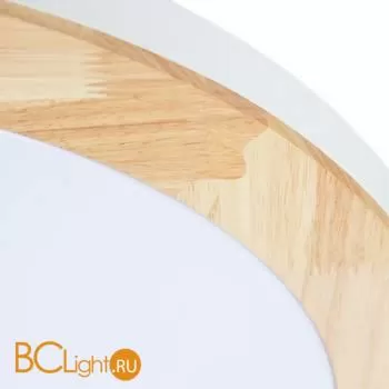 Потолочный светильник Arte Lamp Luce A2685PL-72WH - Фото 2