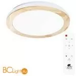 Потолочный светильник Arte Lamp Luce A2685PL-72WH