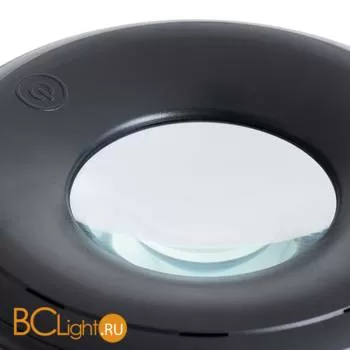 Настольная лампа Arte Lamp Luna A2013LT-1BK - Фото 0