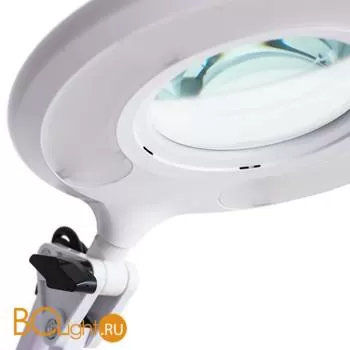 Настольная лампа Arte Lamp Luna A2013LT-1WH - Фото 0