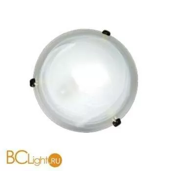 Потолочный светильник Arte Lamp LUNA A3440PL-2GO