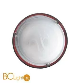 Потолочный светильник Arte Lamp LUNA A3446PL-2AB