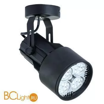 Потолочный светильник Arte Lamp Lyra A6252AP-1BK
