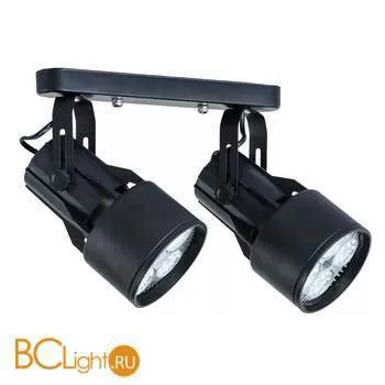 Потолочный светильник Arte Lamp Lyra A6252PL-2BK