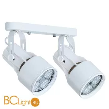 Потолочный светильник Arte Lamp Lyra A6252PL-2WH