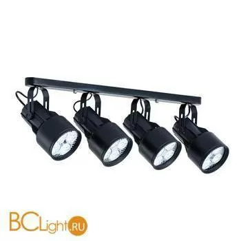 Потолочный светильник Arte Lamp Lyra A6252PL-4BK