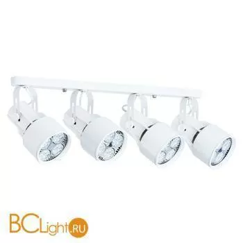 Потолочный светильник Arte Lamp Lyra A6252PL-4WH