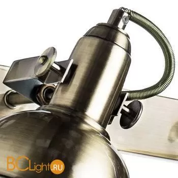 Потолочный светильник-спот Arte Lamp Martin A5213AP-2AB - Фото 1