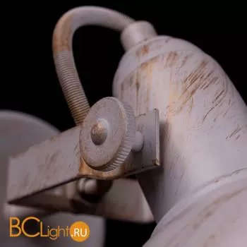 Потолочный светильник Arte Lamp Martin A5215PL-4WG - Фото 3