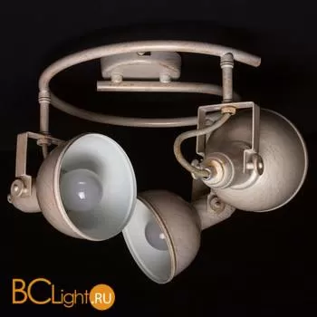 Потолочная люстра Arte Lamp Martin A5215PL-3WG
