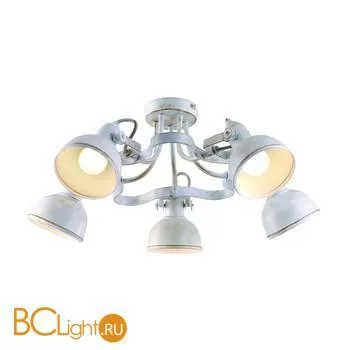 Потолочная люстра Arte Lamp Martin A5216PL-5WG