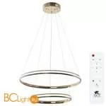 Подвесной светильник Arte Lamp Meridiana A2198SP-2GO