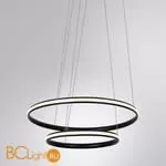 Подвесной светильник Arte Lamp Meridiana A2198SP-2BK - Фото 0