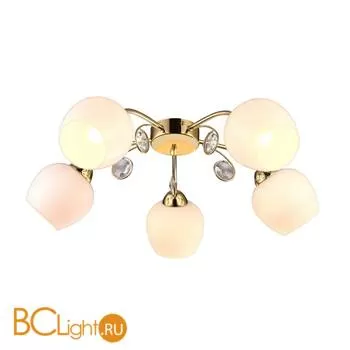 Потолочная люстра ArteLamp Millo A9549PL-5GO
