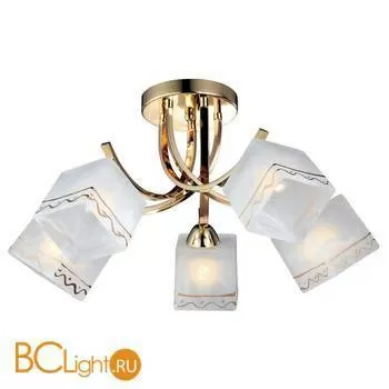 Потолочная люстра Arte Lamp Modello A6119PL-5GO