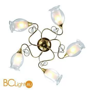 Потолочная люстра Arte Lamp Mughetto A9289PL-5GO